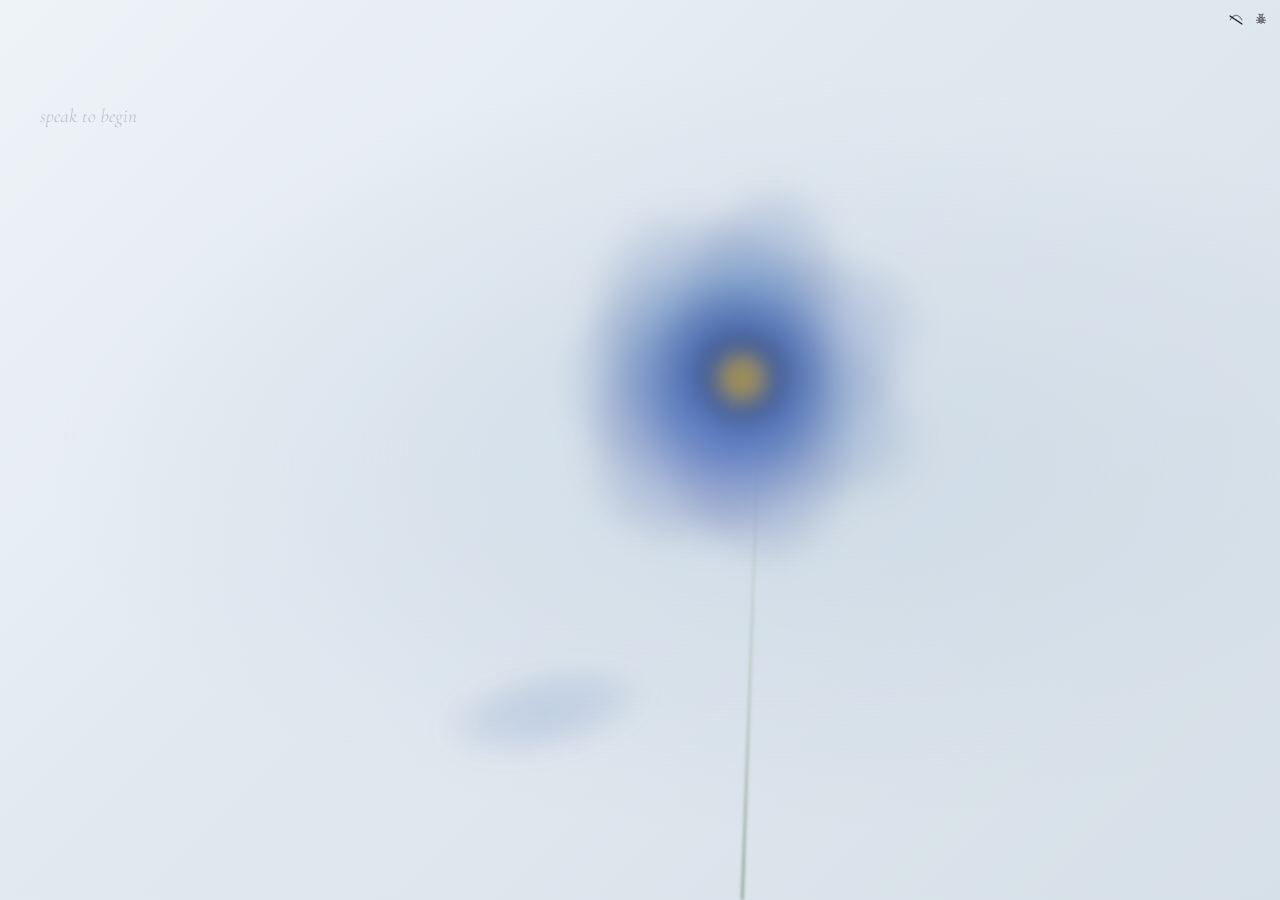 Bloom